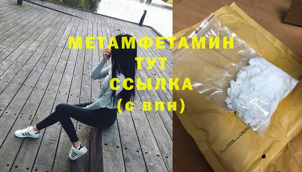 прущие грибы Валдай