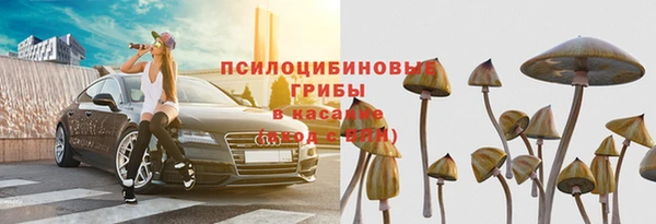 мет Арсеньев