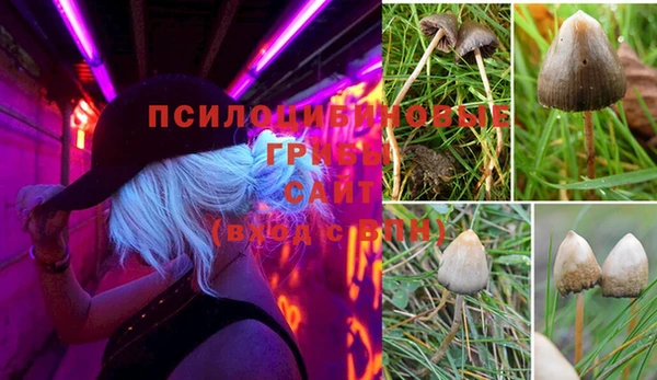 таблы Бутурлиновка