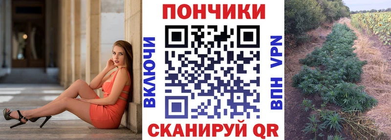 Канабис VHQ  где купить наркоту  Гурьевск 